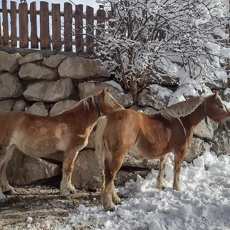 Reiterhof Aigner Çiftlik konaklama *