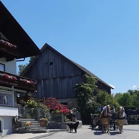 Farm stay Reiterhof Aigner