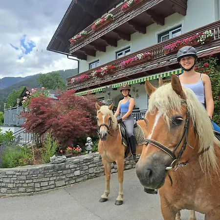 Reiterhof Aigner Farm stay