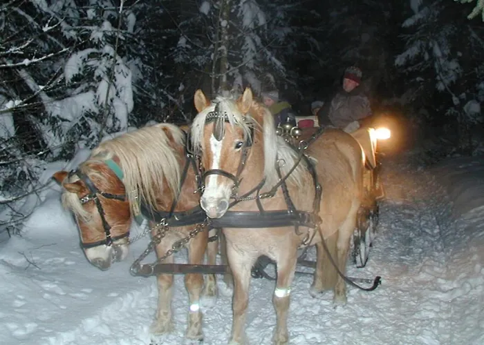 Reiterhof Aigner مزرعة للإقامة *